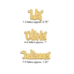 14kt & 10kt Made to Order Gold name Plate Necklaces